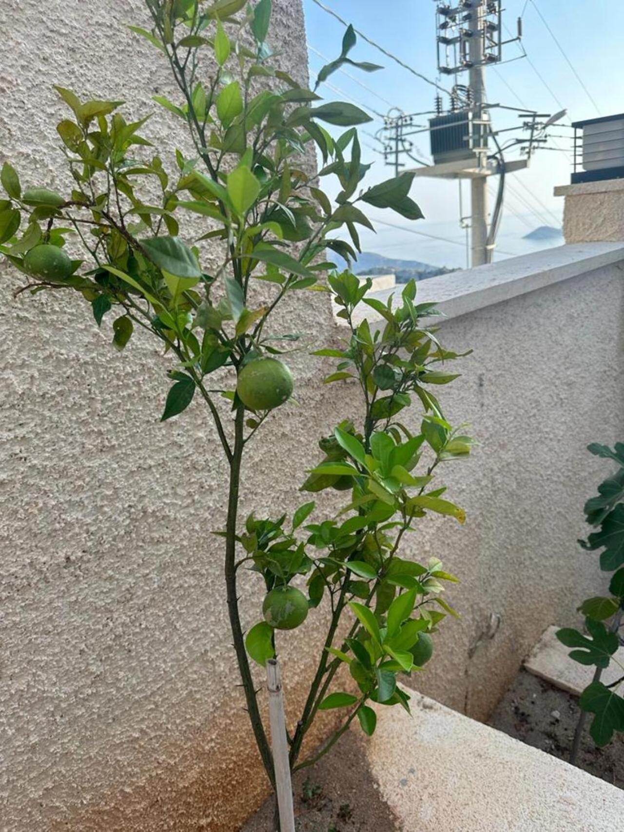 Kalkan Beauty Honeymoon Villa Kas